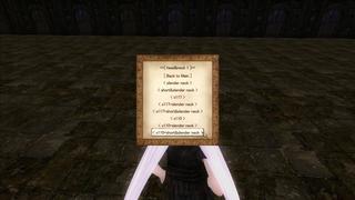 Elder Scrolls IV  Oblivion Screenshot 2023.04.09 - 17.15.22.96.jpg
